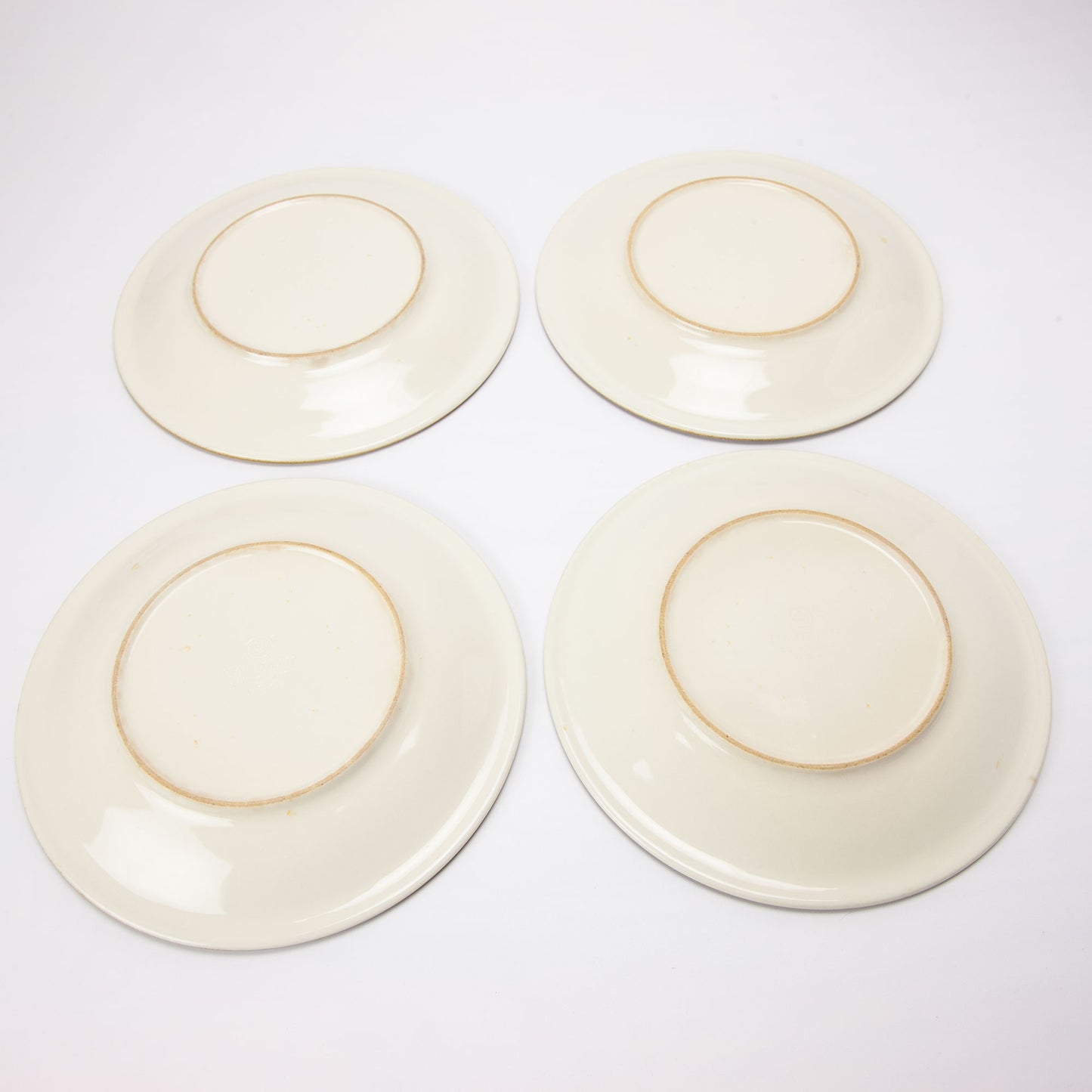 Pfaltzgraff Canyon Ridge Dinner Plates Set of 4 10.25 Inch