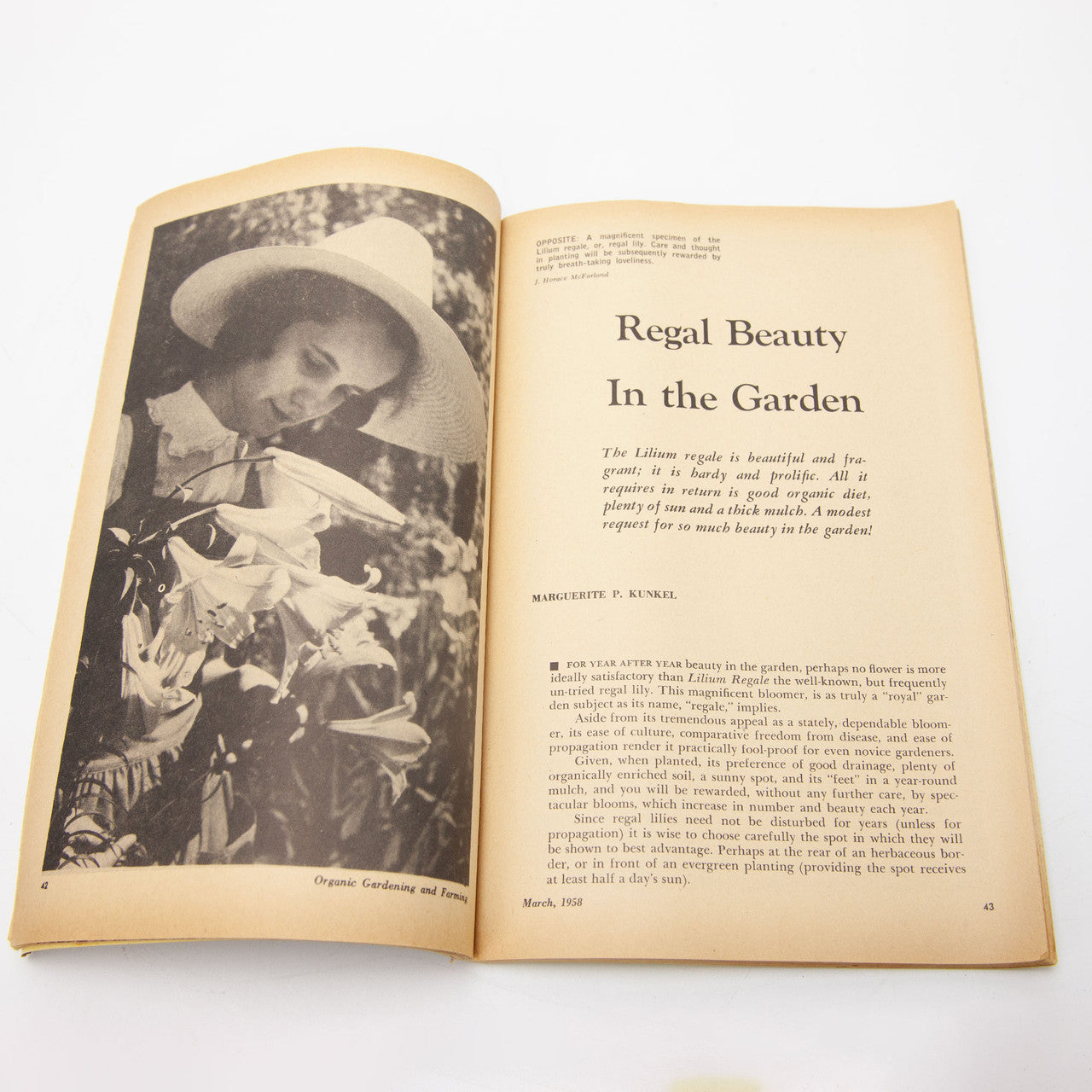 1958 Organic Gardening and Farming Magazine Complete Year Rodale Press