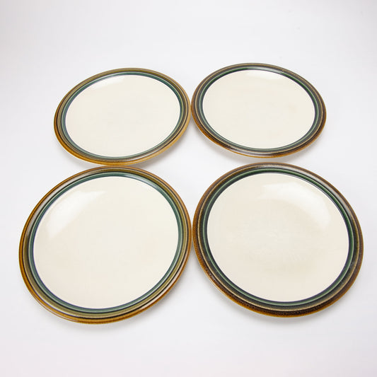 Pfaltzgraff Canyon Ridge Dinner Plates Set of 4 10.25 Inch
