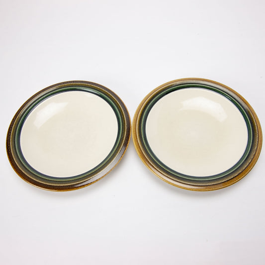 Pfaltzgraff Canyon Ridge Salad Plates Set of 2 8 Inch