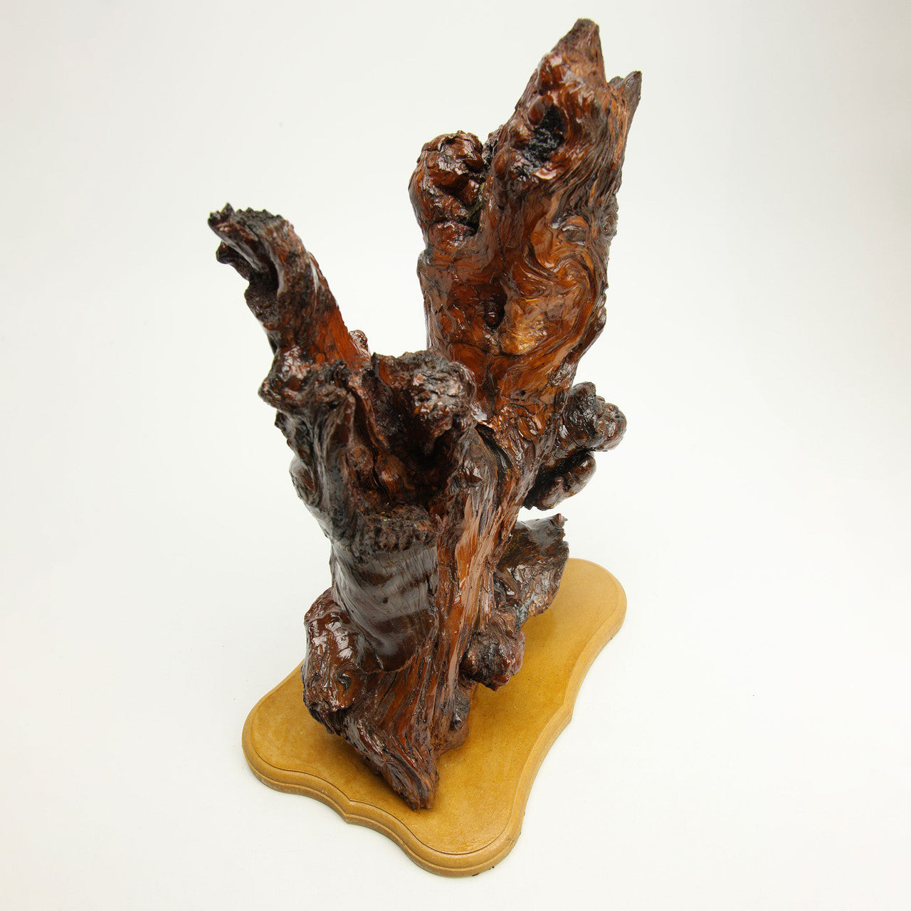 Burl Wood Organic Sculpture on Base 18" x 11.5" x 7.75"