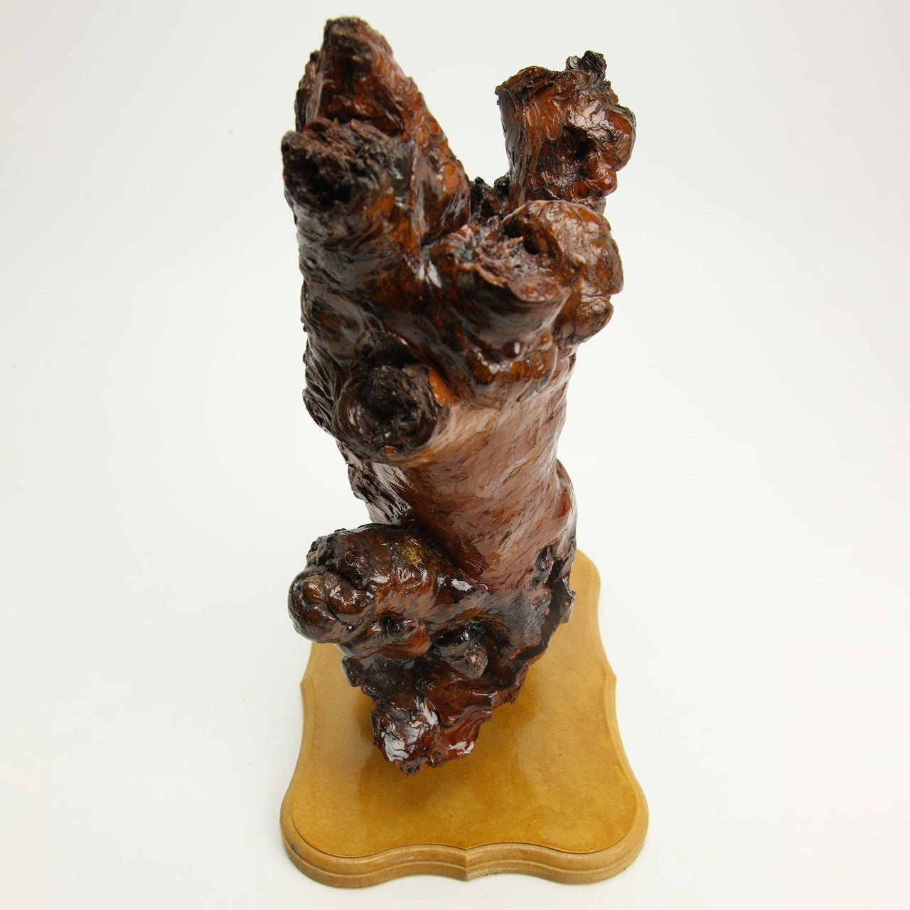 Burl Wood Organic Sculpture on Base 18" x 11.5" x 7.75"