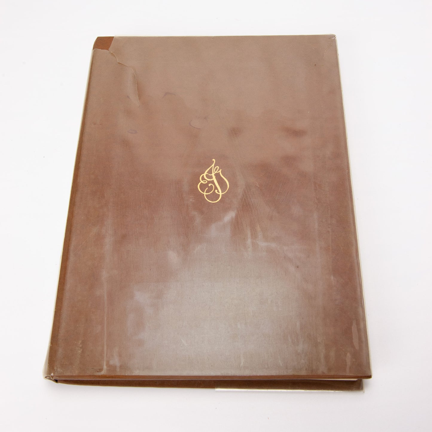 Texas Wildflower Eliza Griffin Johnston 1972 Deluxe First Edition