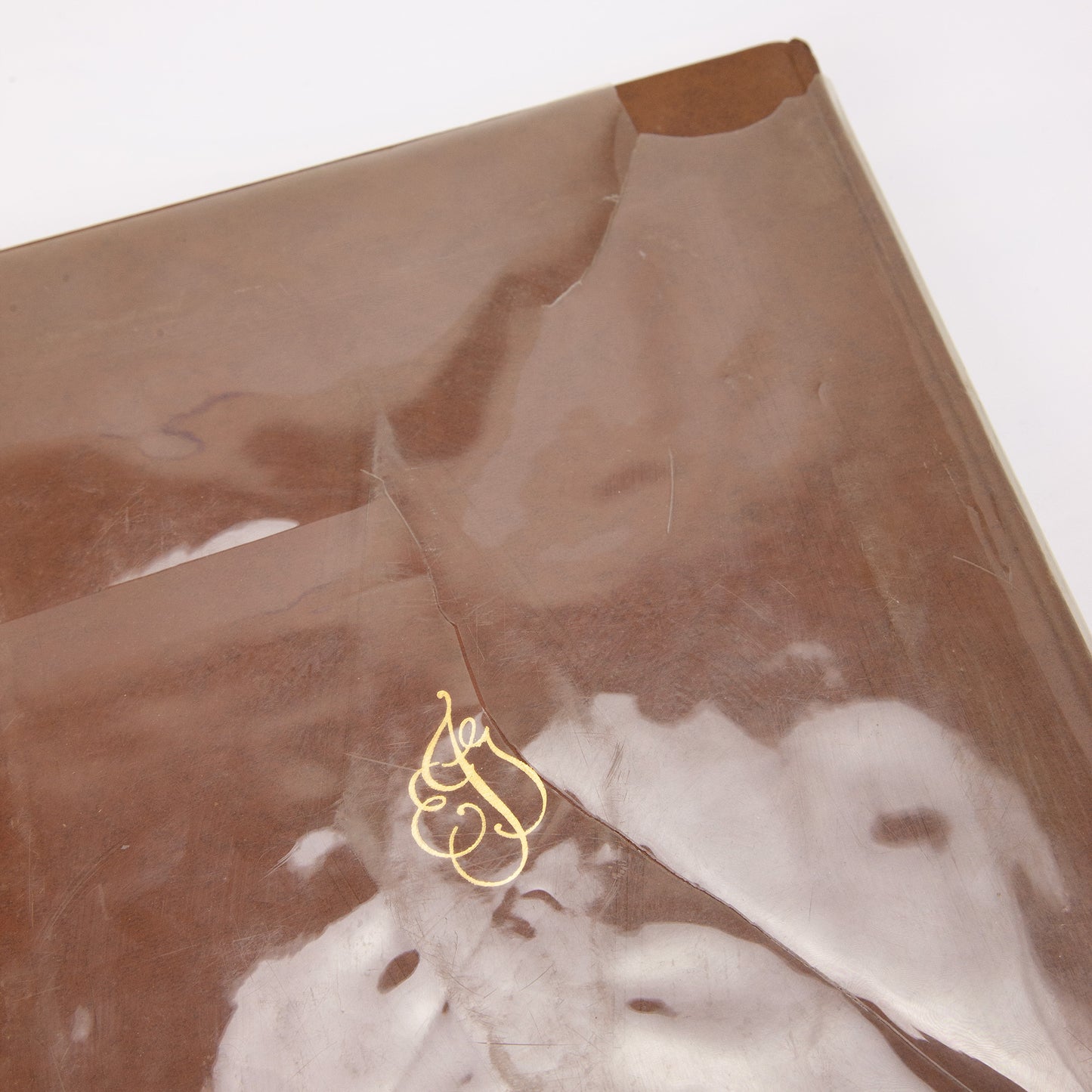 Texas Wildflower Eliza Griffin Johnston 1972 Deluxe First Edition