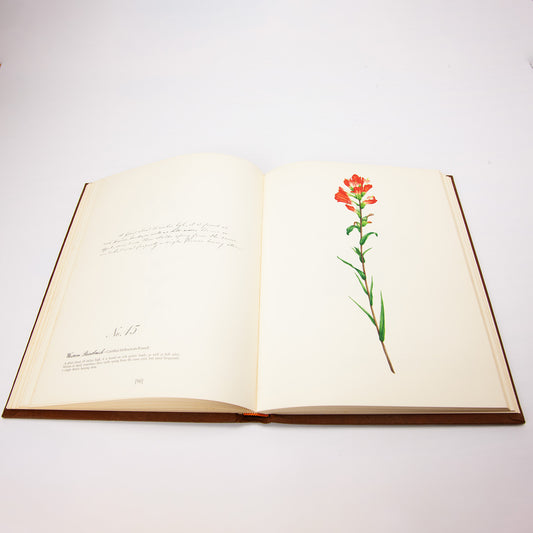 Texas Wildflower Eliza Griffin Johnston 1972 Deluxe First Edition