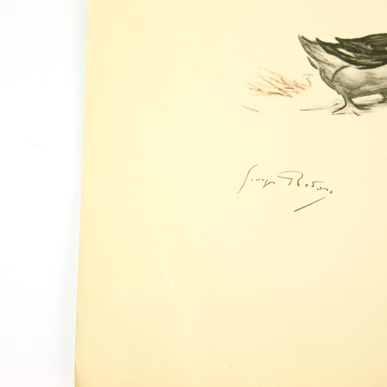 Georges Redon Lithograph - Duck Eats the Slug Print 1920s