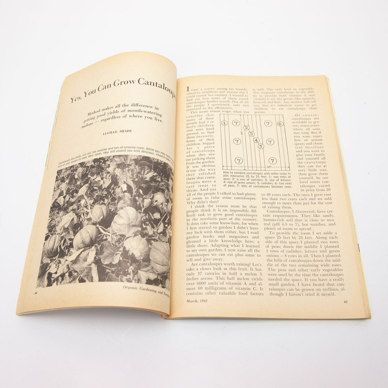 1962 Organic Gardening and Farming Magazine Complete Year Rodale Press