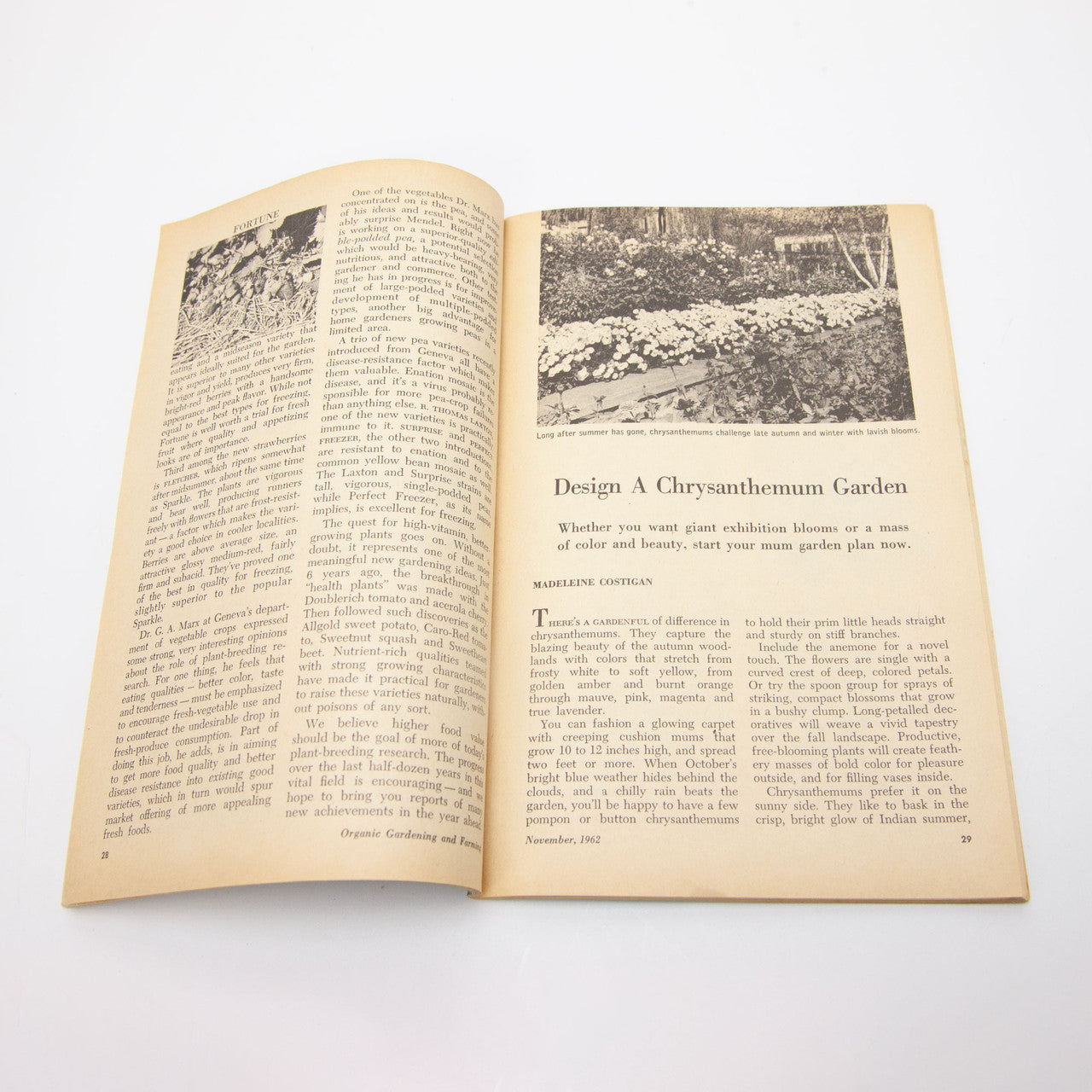 1962 Organic Gardening and Farming Magazine Complete Year Rodale Press