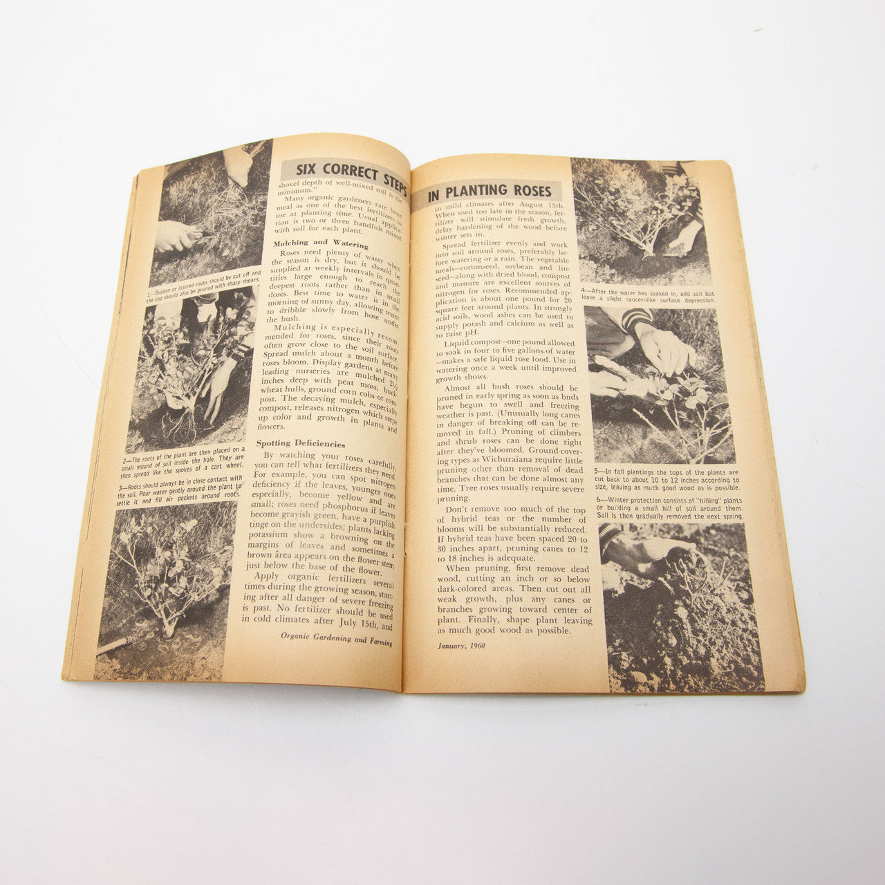 1960 Organic Gardening and Farming Magazine Complete Year Rodale Press