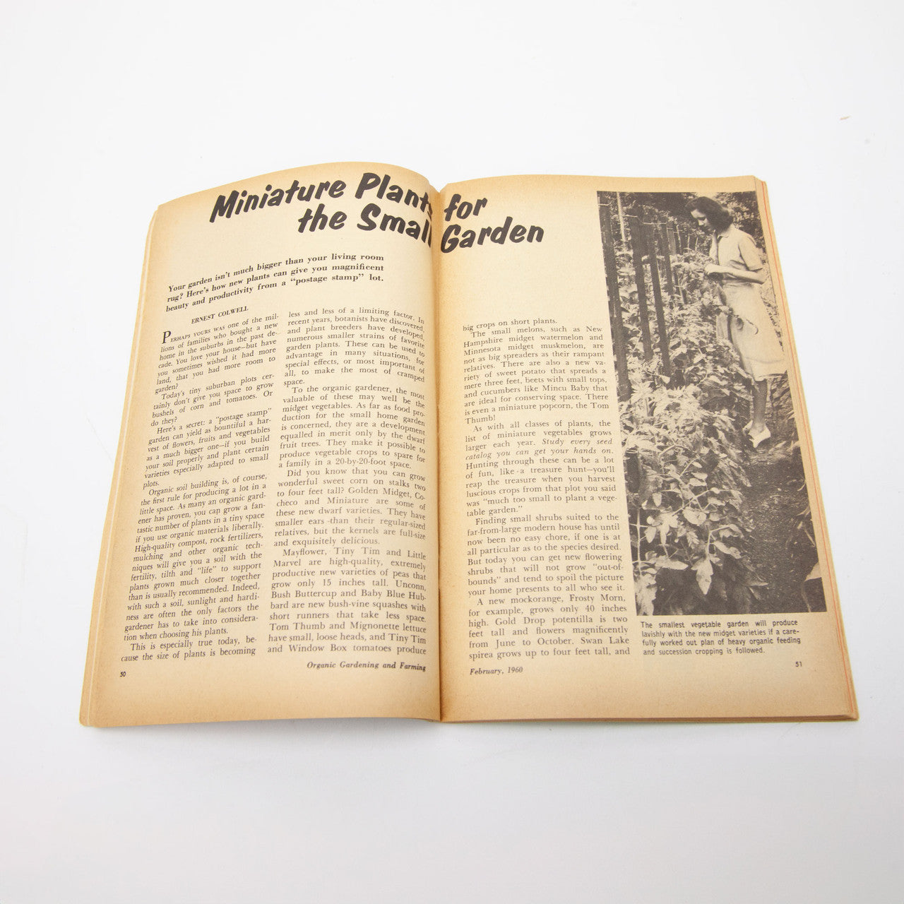 1960 Organic Gardening and Farming Magazine Complete Year Rodale Press