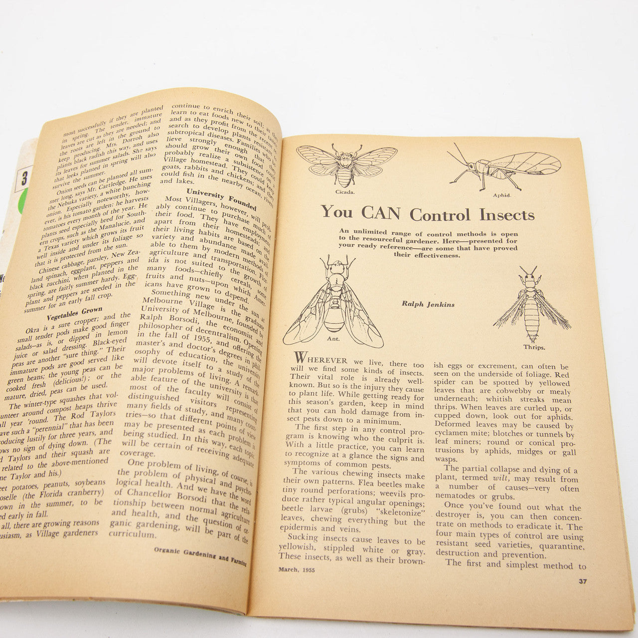 1955 Organic Gardening and Farming Magazine Complete Year Rodale Press