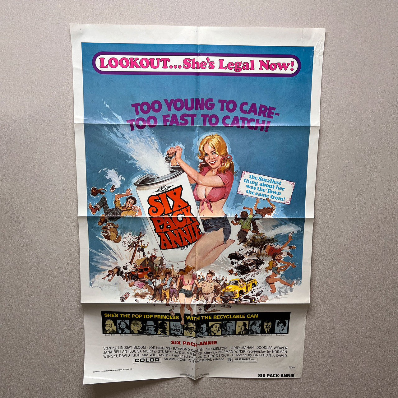 1950s 1970s One Sheet Movie Posters Lot of 8 Cult Drive In